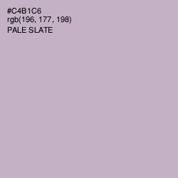 #C4B1C6 - Pale Slate Color Image